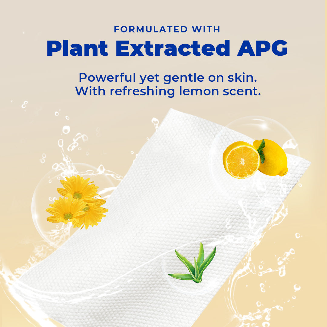 [Carton] Alcean Thicker & Larger Kitchen Wipes (40 Wipes x 12 Packs)