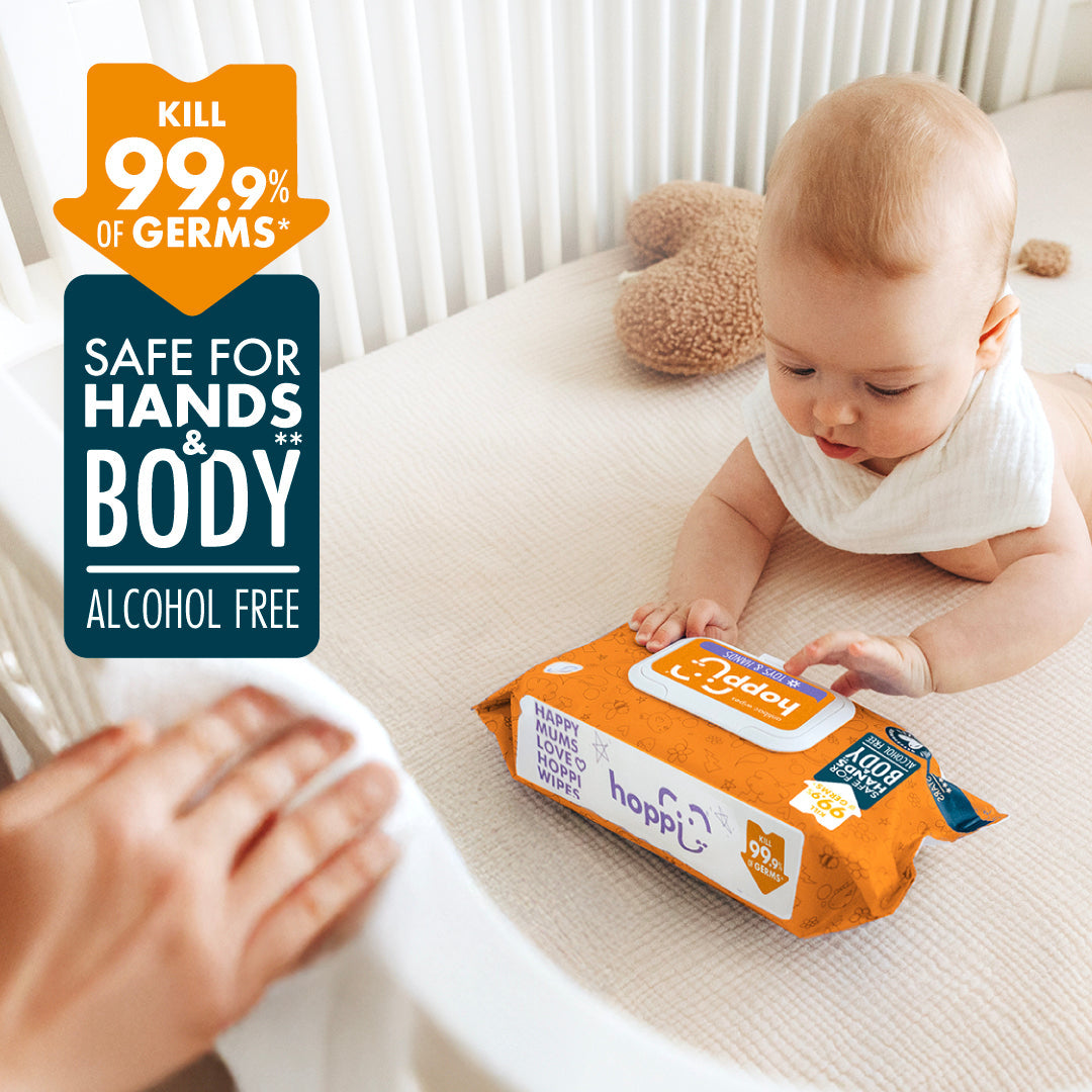 [Carton] Hoppi Antibacterial Wipes (80 Wipes x 12 Packs)