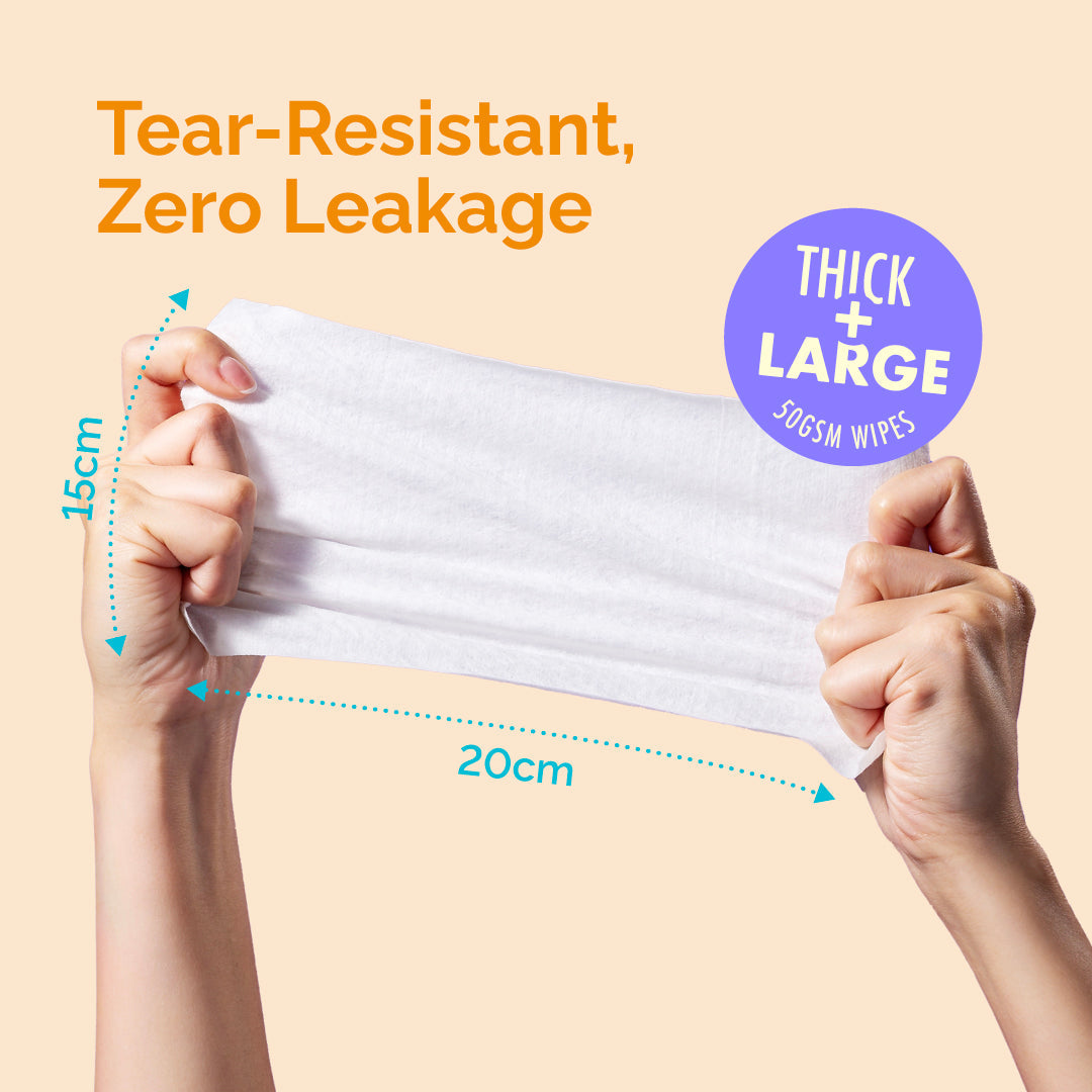[Carton] Hoppi Antibacterial Wipes (80 Wipes x 12 Packs)