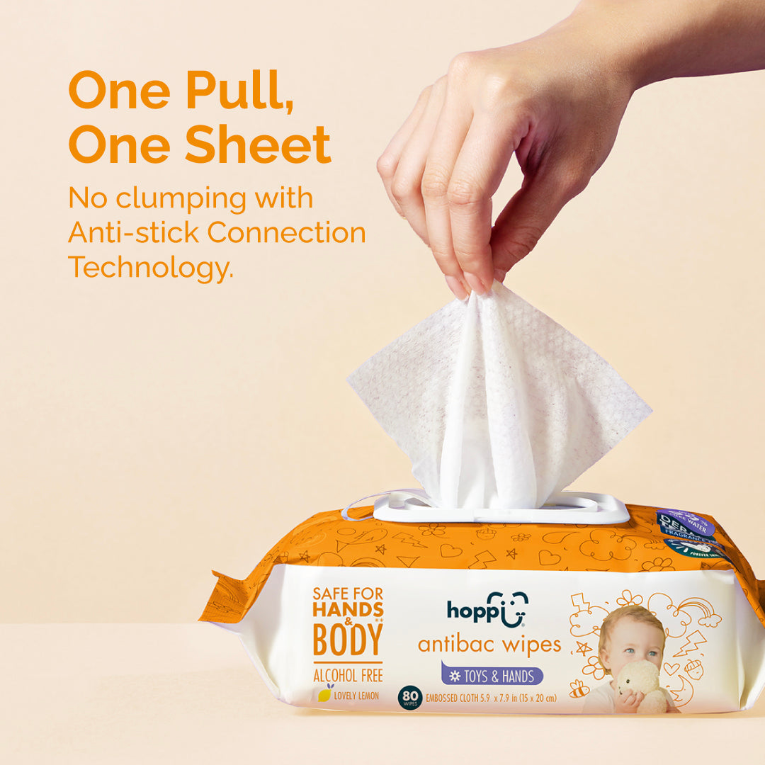 [Carton] Hoppi Antibacterial Wipes (80 Wipes x 12 Packs)