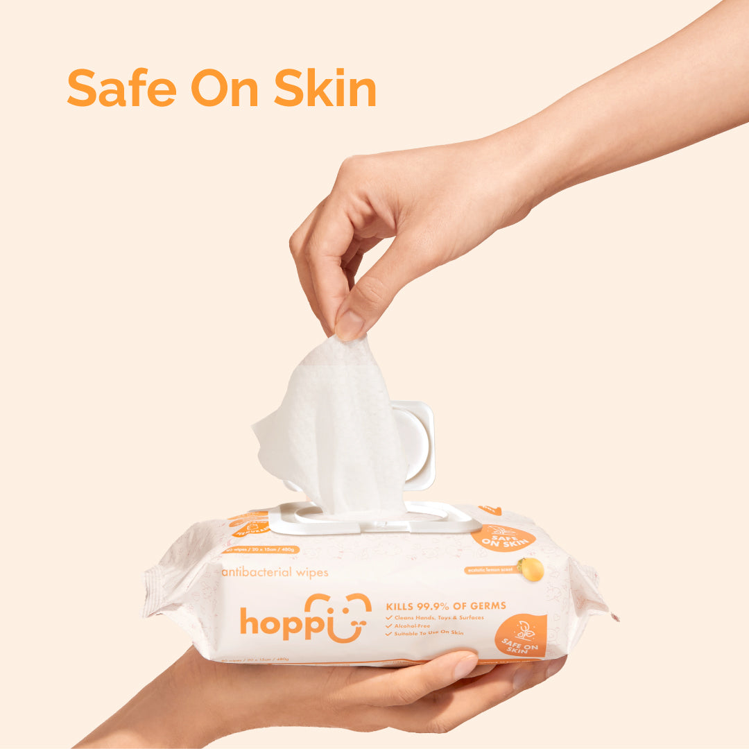 [Carton] Hoppi Antibacterial Wipes (20 Wipes x 25 Packs)