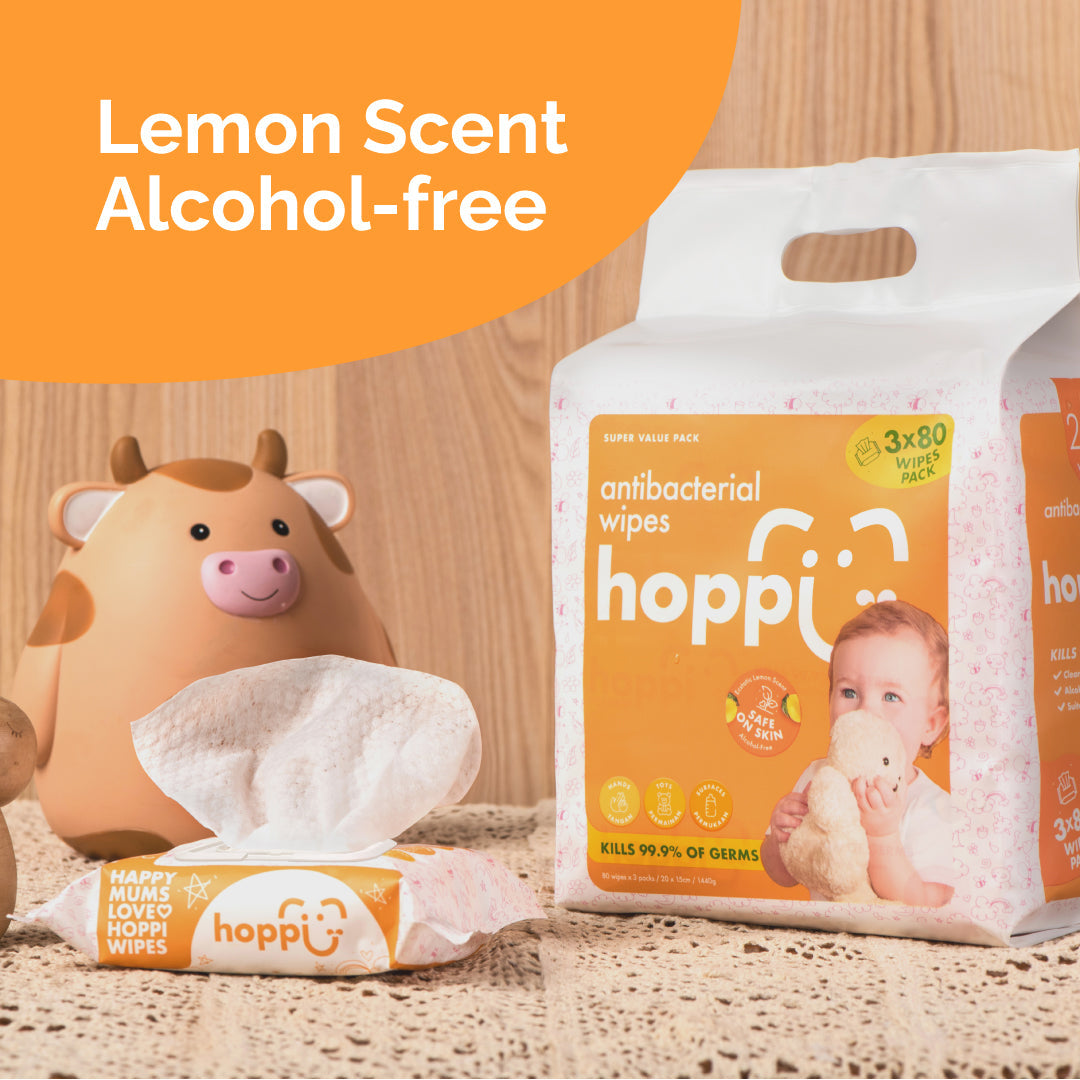 [Carton] Hoppi Antibacterial Wipes (20 Wipes x 25 Packs)