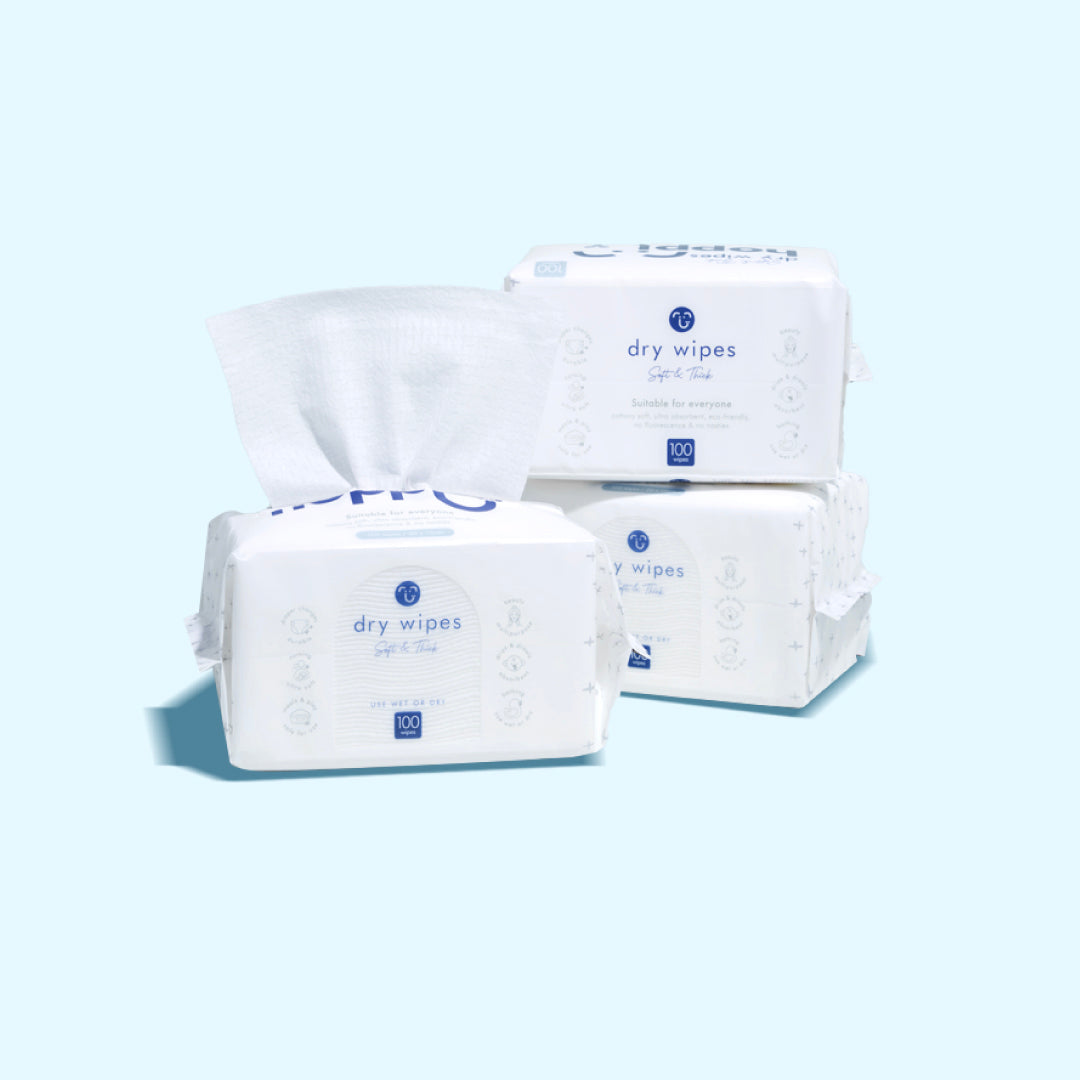 Hoppi Dry Wipes 100 Wipes (1 Pack / 3 Packs)